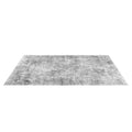 Washable Boho Area Rug, 6 x 9 ft, Gray