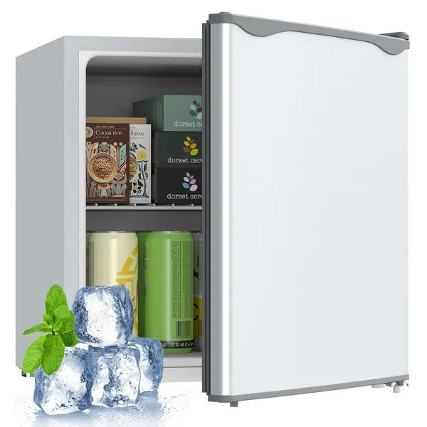 Compact Mini Refrigerator